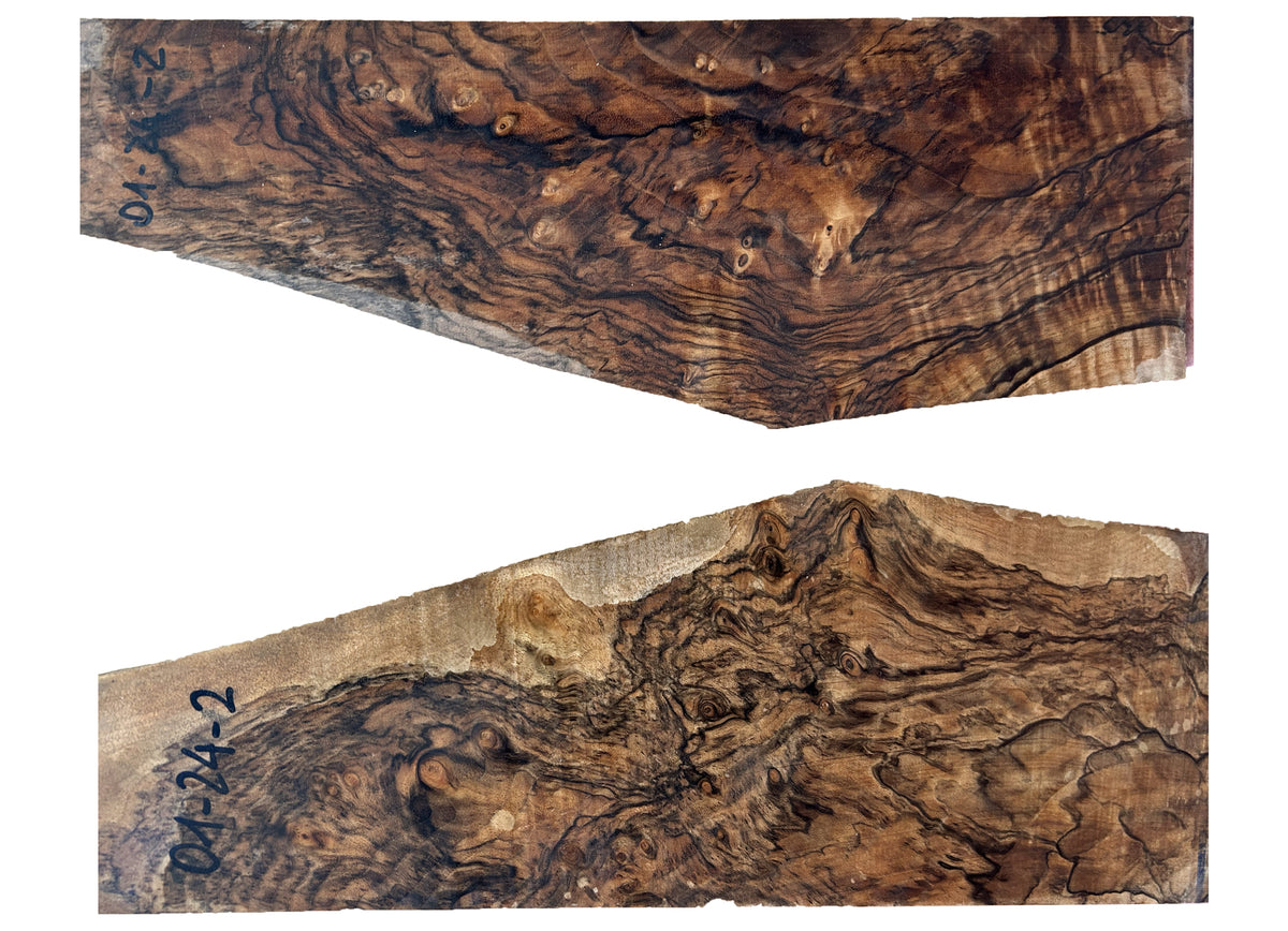 Wood Blank AR01-24-02 Exhibition Grade | Suitable for Perazzi, Krieghoff, Beretta, Blaser, Zoli and More